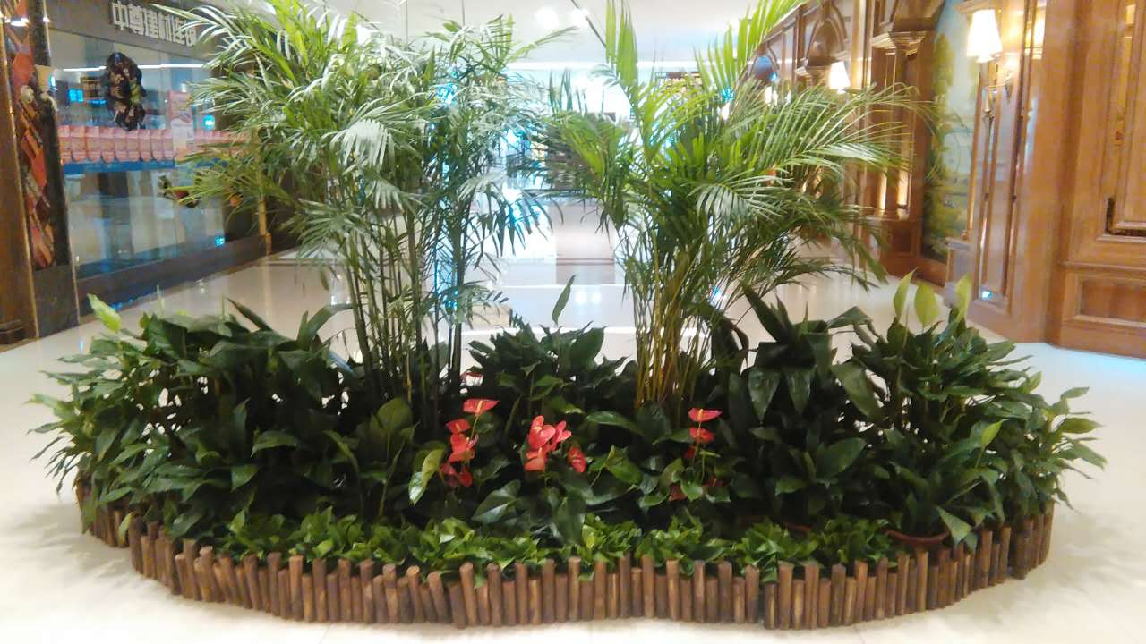 商场租花