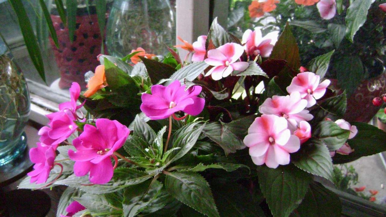 20120617193241046.jpg