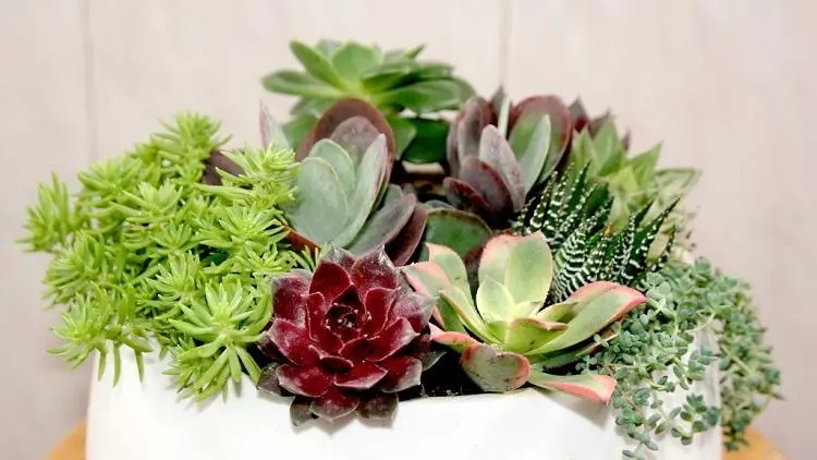 640 (1).webp.jpg
