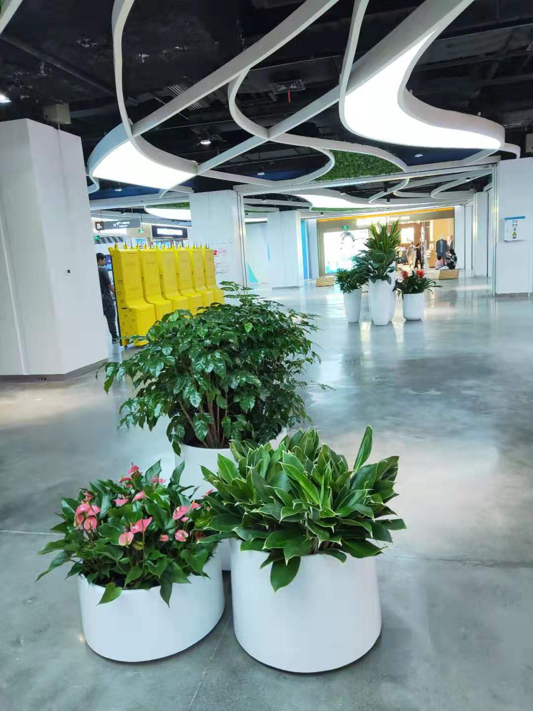 办公室绿化_绿植租赁_室外绿化养护价格_上海慧枫园艺景观设计有限公司