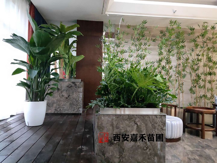 微信图片_20200602081459副本.jpg