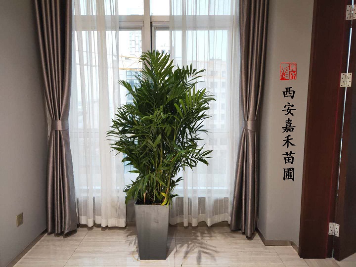 微信图片_20200602081551副本.jpg