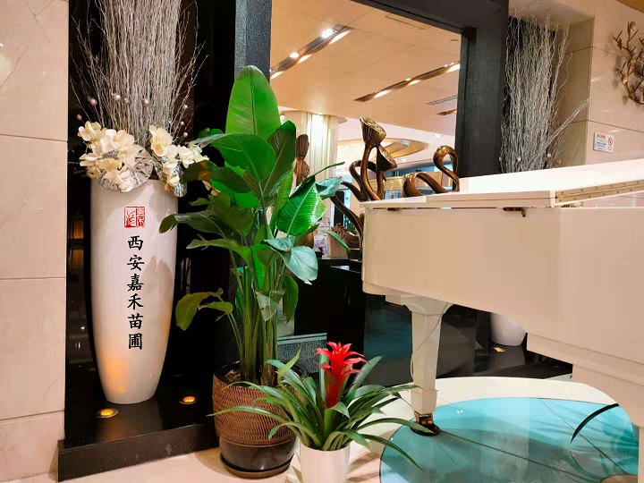 西安嘉禾苗圃鹤望兰绿植租摆