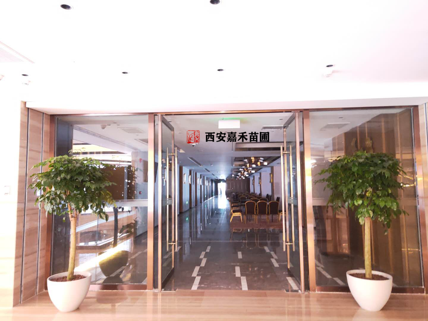 过年假期西安绿植租摆