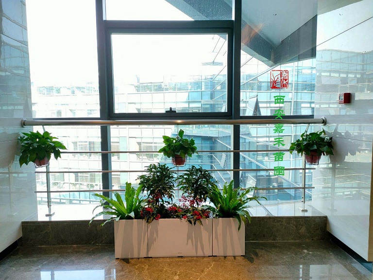 西安绿植租赁效果图|嘉禾苗圃