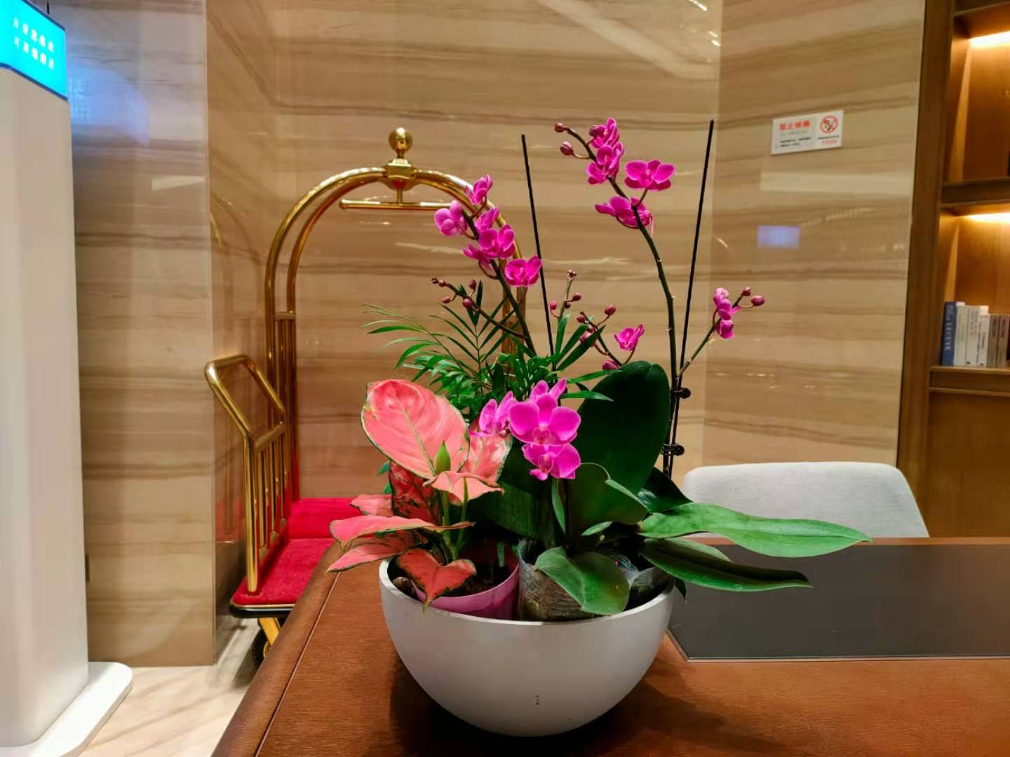 西安花卉租赁|嘉禾苗圃