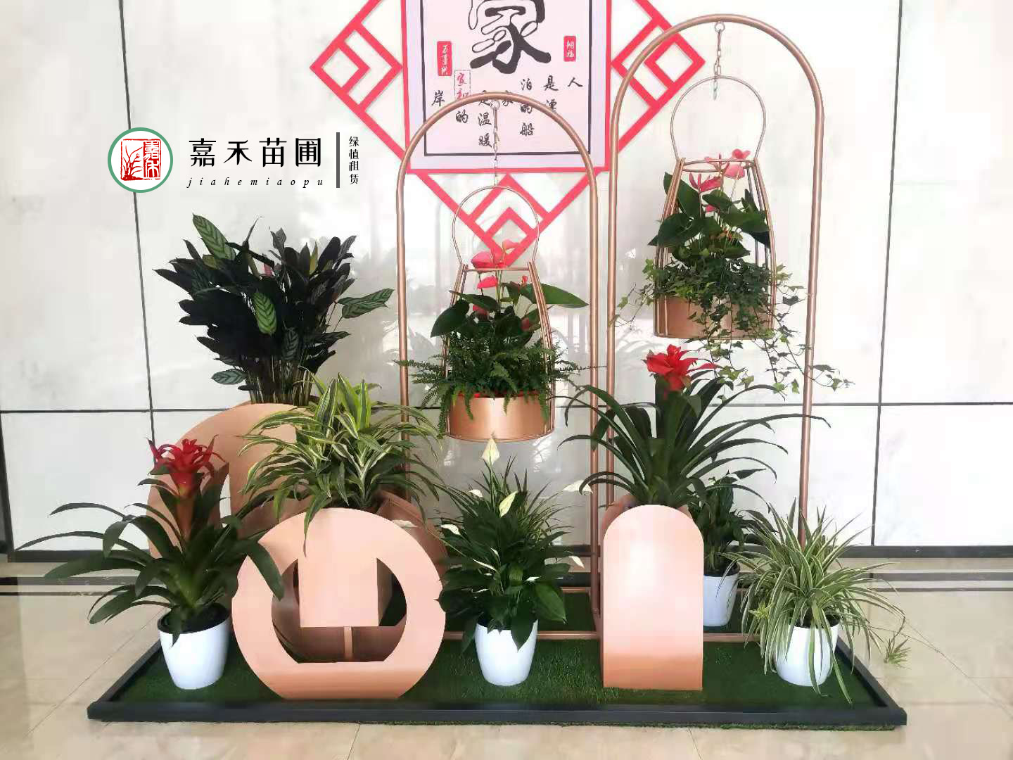 西方式插花--s形-花艺欣赏-郑州市金水区晗笑职业培训学校