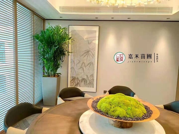 西安花卉租赁净化空气|嘉禾苗圃