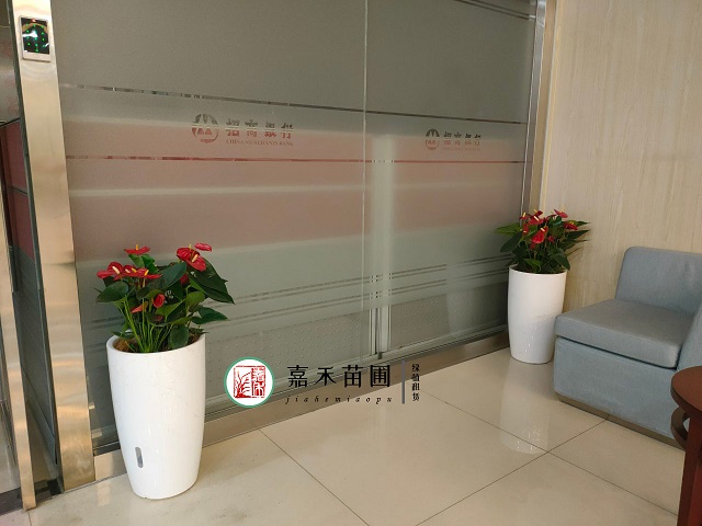 西安花卉租赁|嘉禾苗圃