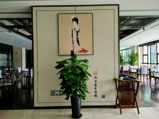 西安租赁绿植|西安嘉禾苗圃