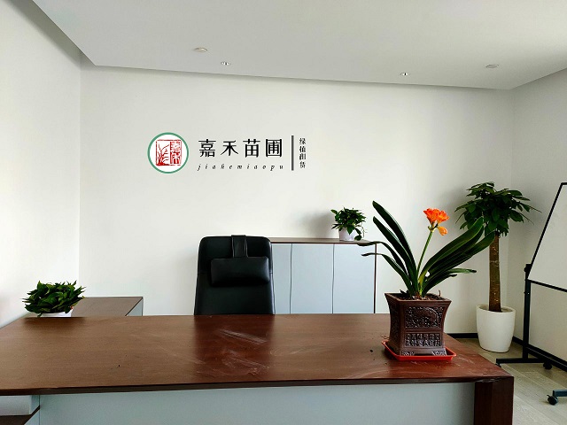 西安开花植物租赁|西安嘉禾苗圃