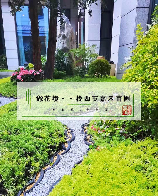 西安花境景观摆放|嘉禾苗圃