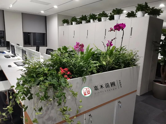 西安花卉绿植租摆|嘉禾苗圃
