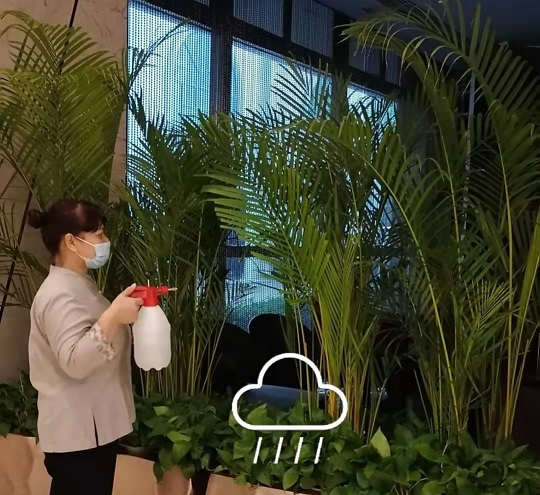 西安绿植租摆植物怎么施肥|西安嘉禾苗圃
