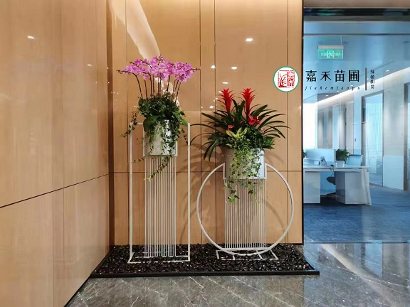 西安花卉租摆|西安嘉禾苗圃