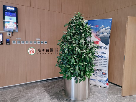 绿植租摆公司|西安嘉禾苗圃