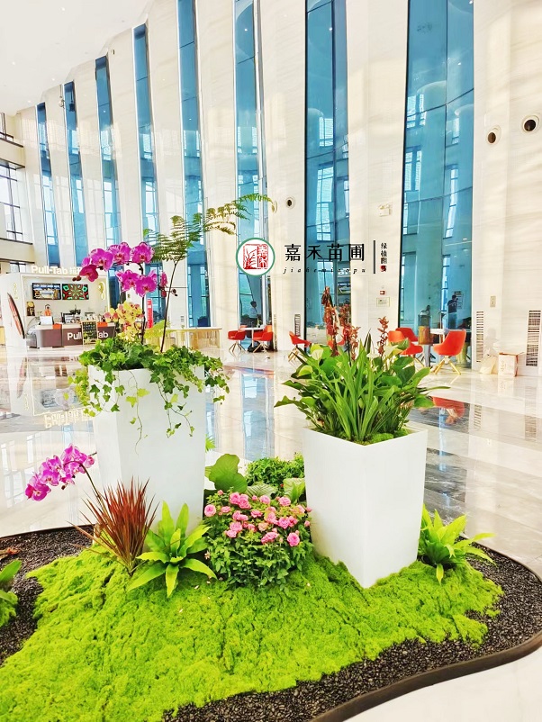 办公大厅绿植造景|西安嘉禾苗圃