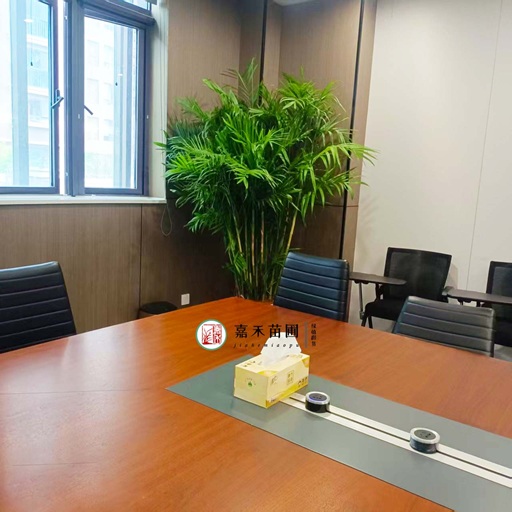 西安单位绿植租赁|西安嘉禾苗圃