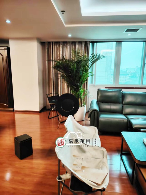 西安绿植租赁供应商|西安嘉禾苗圃