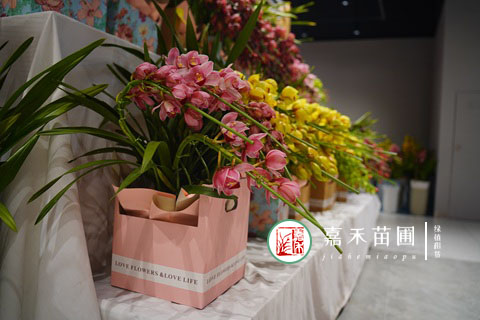 西安花卉租赁电话|西安嘉禾苗圃15202909185