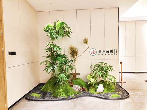 西安企业绿植租赁|西安嘉禾苗圃公司 西安企业绿植租赁|西安嘉禾苗圃公司