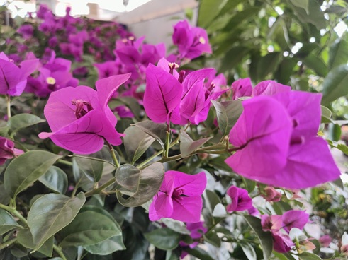 /UploadFiles/image/2026-08-06/6a73f3d559774.jpg IMG20230609153541.jpg