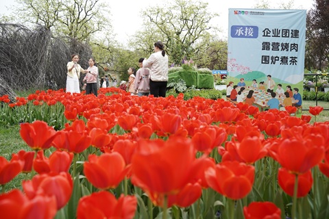 DSC08021.jpg