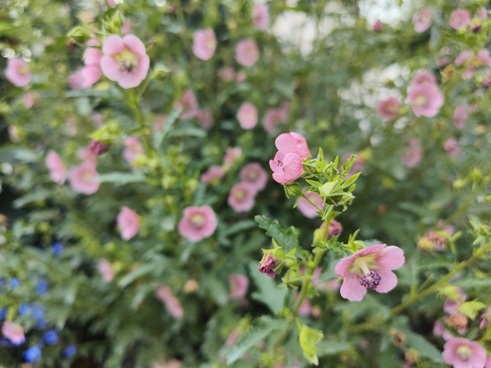 /UploadFiles/image/2026-08-06/6a73f86229e9f.jpg IMG20230609161429.jpg