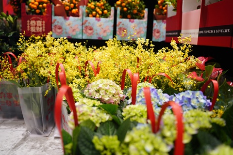 /UploadFiles/image/2026-08-06/6a7434bebbfaa.jpg DSC03444.jpg