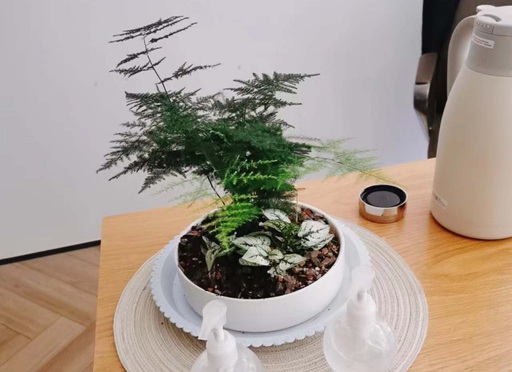 微信图片_20230313083610.jpg