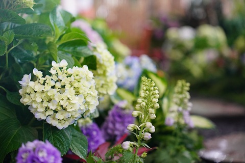 /UploadFiles/image/2026-08-06/6a7449b0290cb.jpg DSC05263.jpg
