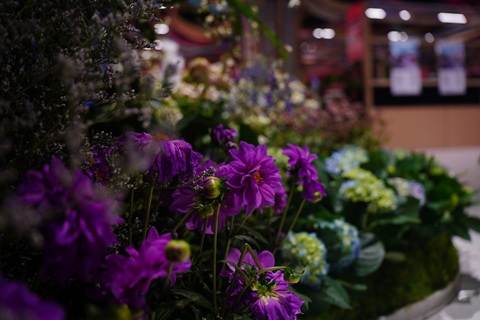 /UploadFiles/image/2026-08-06/6a7457879a35f.jpg DSC03414.jpg
