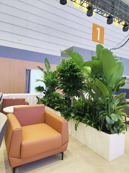 西安花箱绿植造景|西安嘉禾苗圃